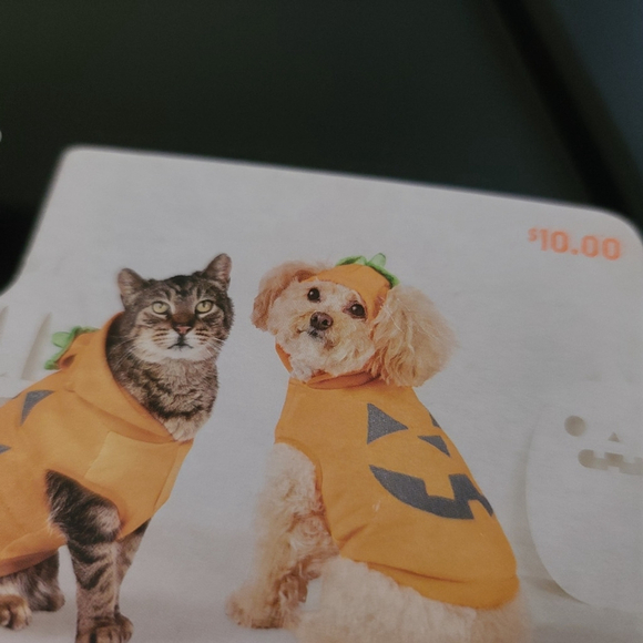 Reflective Pet Jack-o'-Lantern Costume XS - Picture 5 of 7